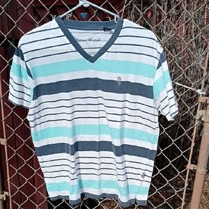 Men's V-Neck Striped Tee - Aqua, Navy, and White